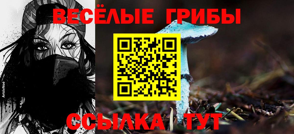 Галлюциногенные грибы MAGIC MUSHROOMS Саянск