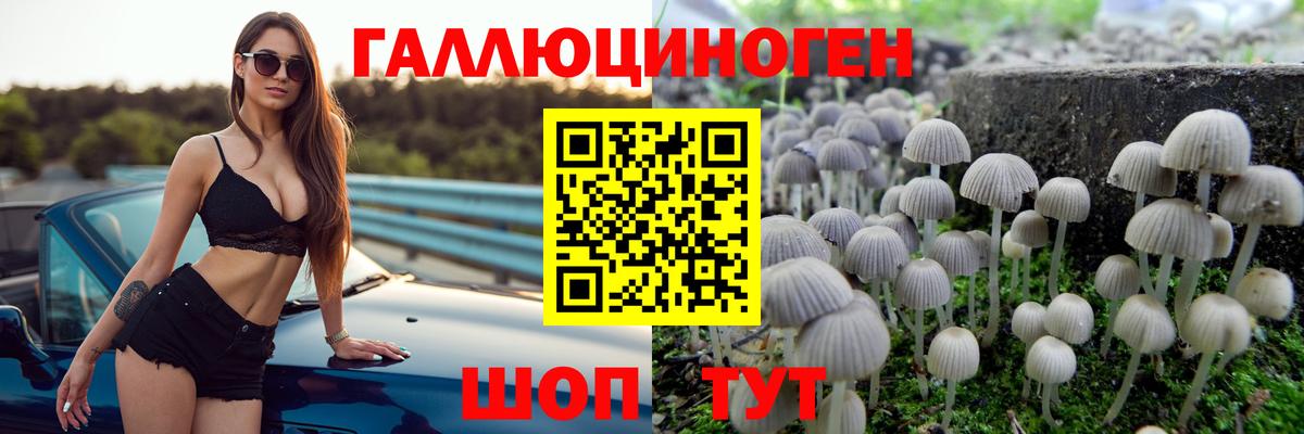 Саянск  Псилоцибиновые грибы Psilocybe  Псилоцибиновые грибы мицелий  Вход с VPN 